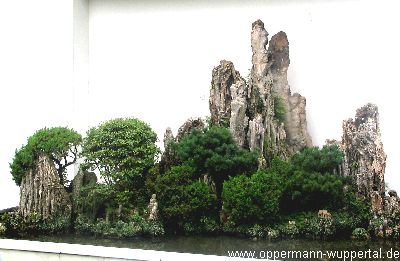 Wuhan Bonsai